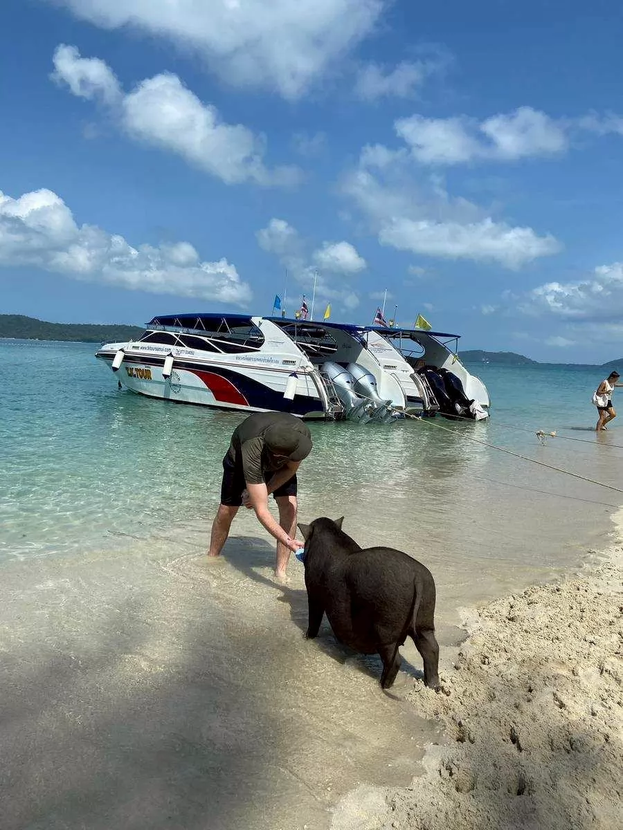 Half Day Snorkeling Trip Koh Mudsum Koh Tan by Speed Boat