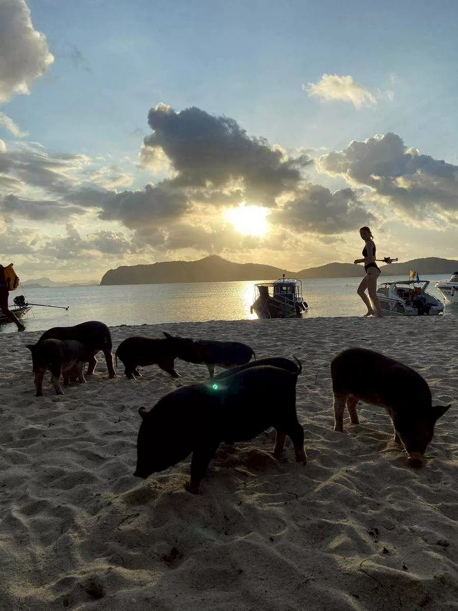 Half Day Snorkeling Trip Koh Mudsum Koh Tan by Speed Boat
