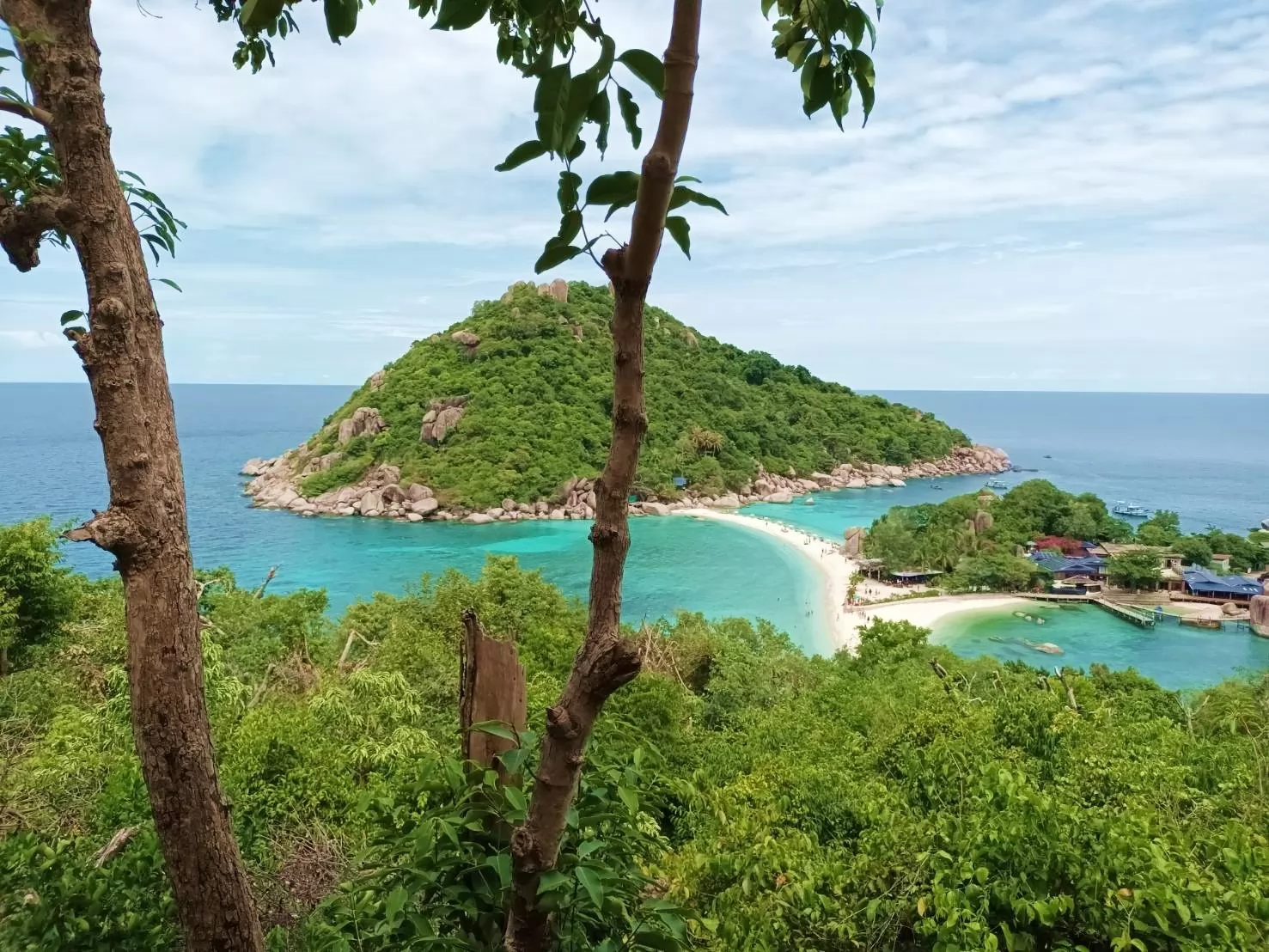 1 Day Trip Koh Tao Koh Nang Yuan by Speed Boat - Snorkeling