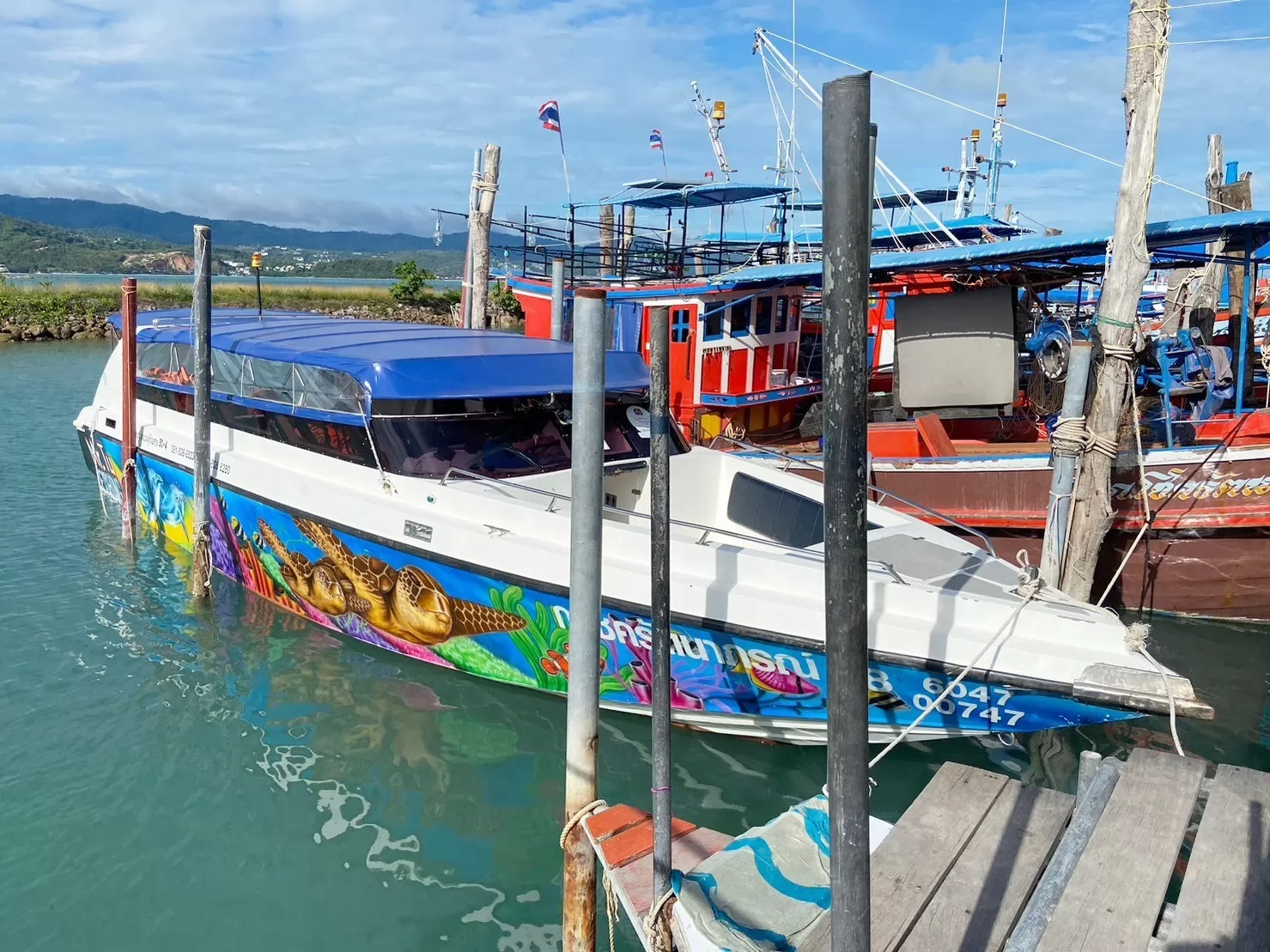 1 Day Trip Koh Tao Koh Nang Yuan by Speed Boat - Snorkeling