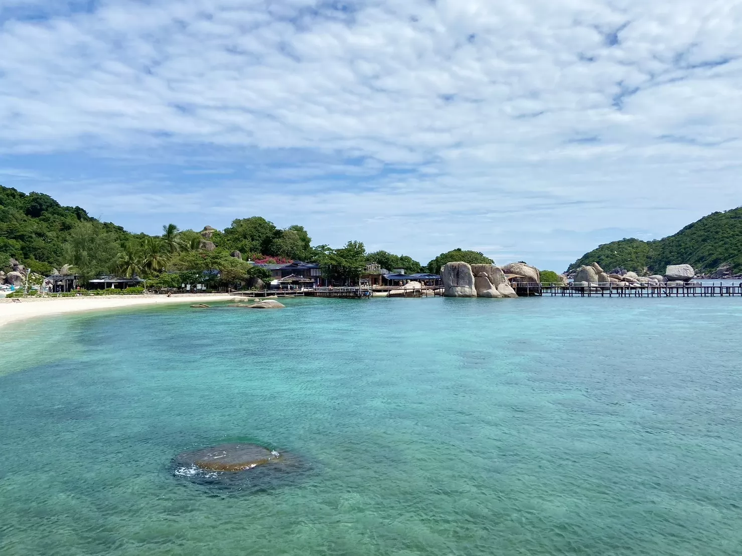 1 Day Trip Koh Tao Koh Nang Yuan by Speed Boat - Snorkeling