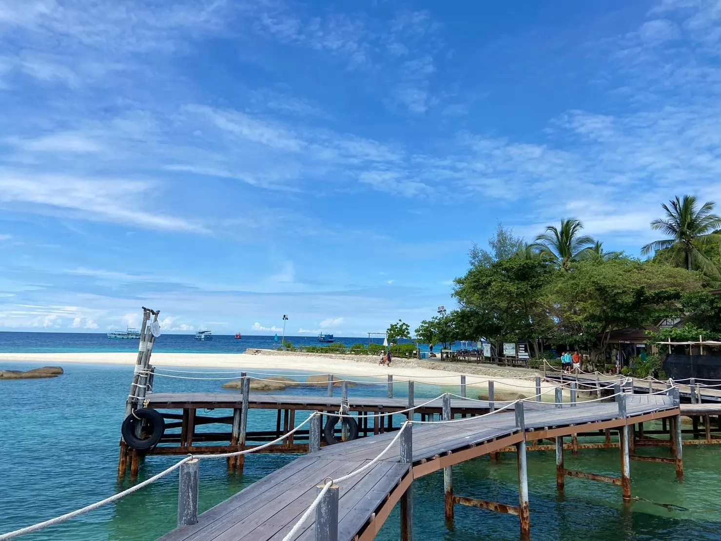 1 Day Trip Koh Tao Koh Nang Yuan by Speed Boat - Snorkeling