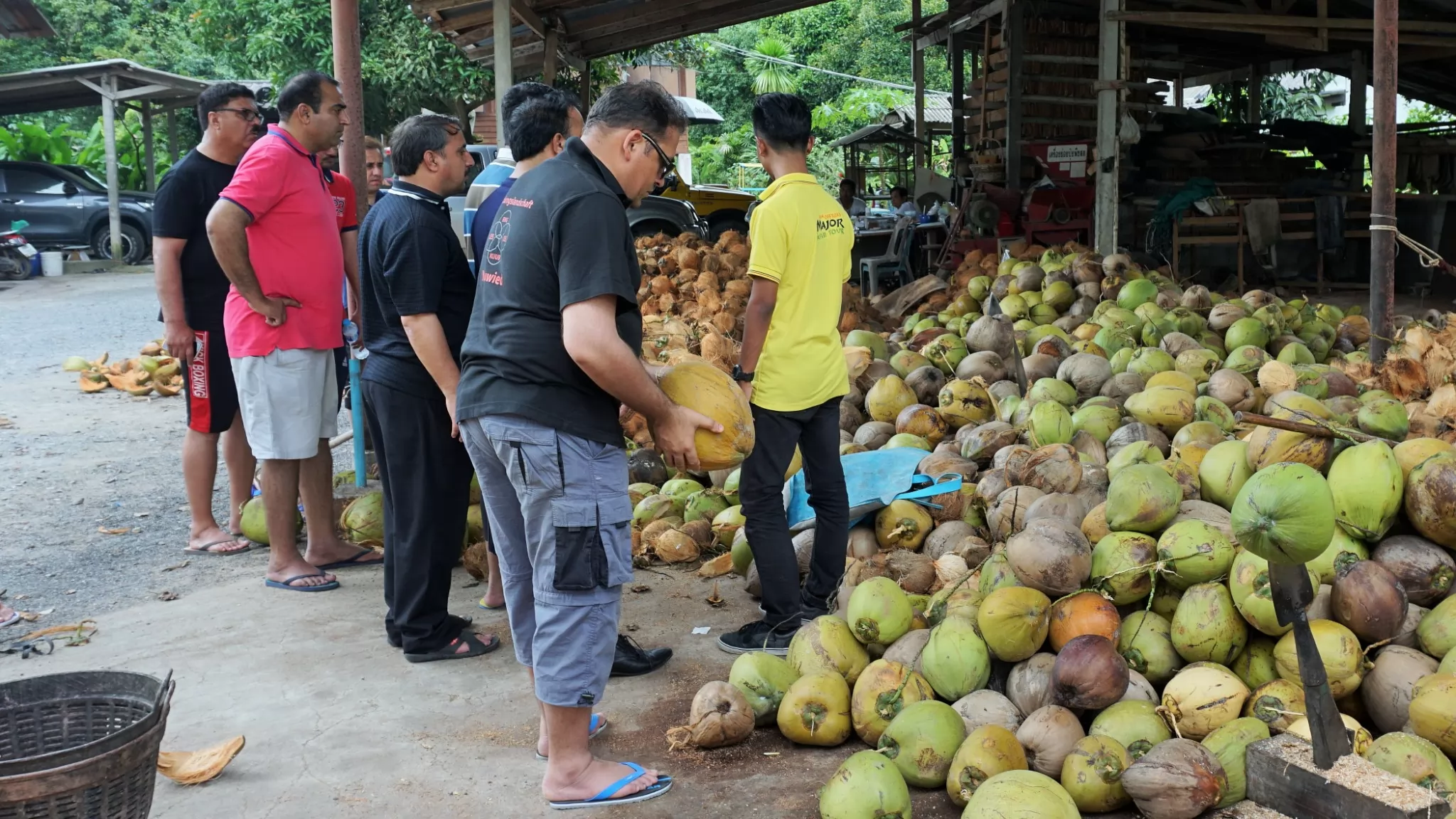 Jungle Discovery Tour