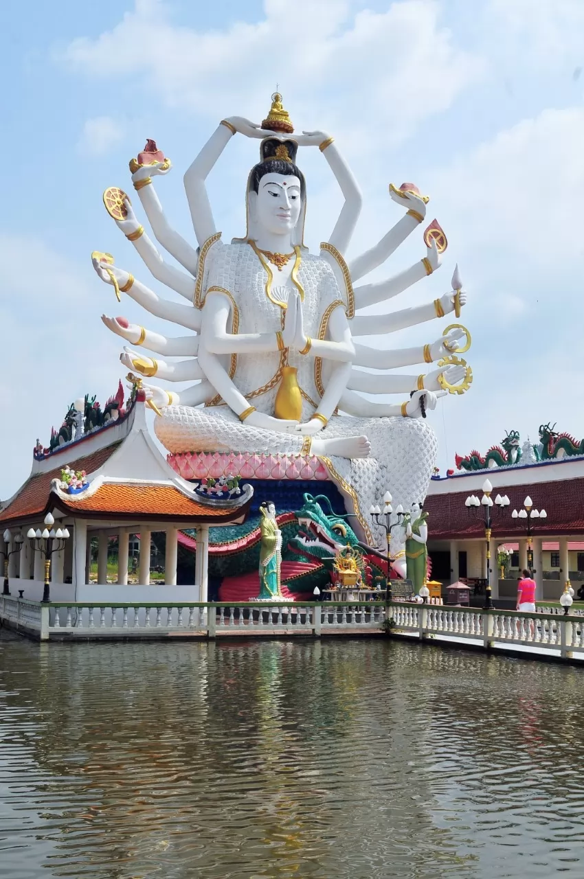 Jungle Discovery Tour