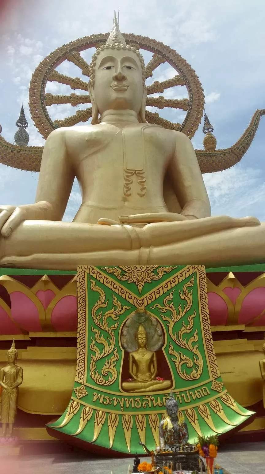 Jungle Discovery Tour