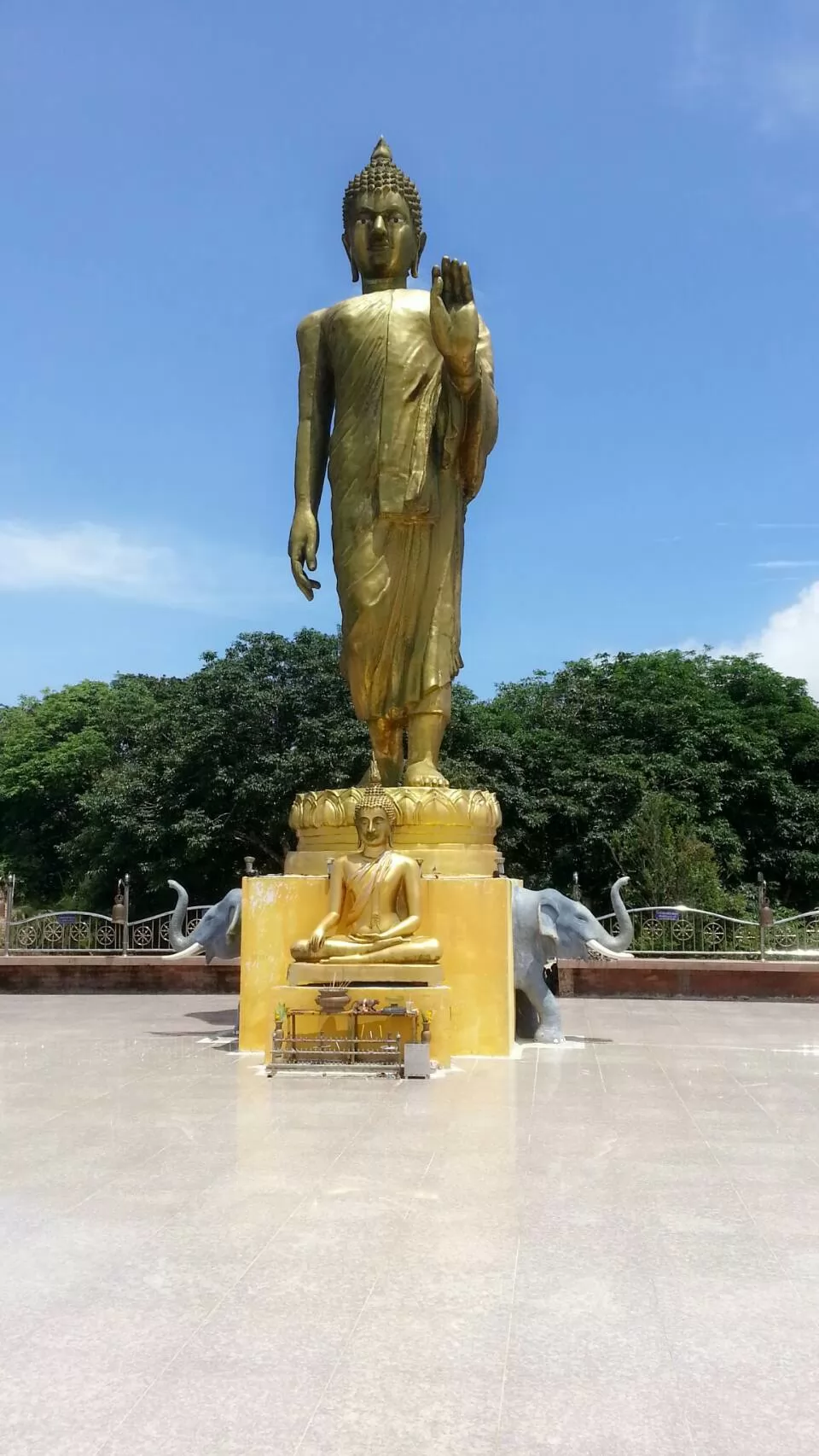 Jungle Discovery Tour