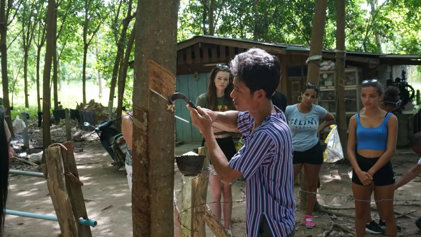 Jungle Discovery Tour