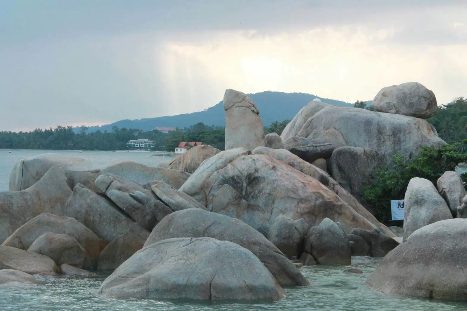 Jungle Discovery Tour