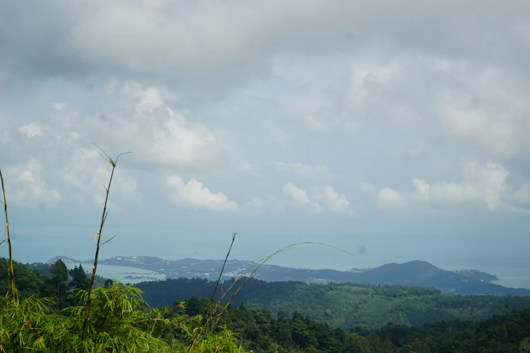 Elephant Cooking Adventure