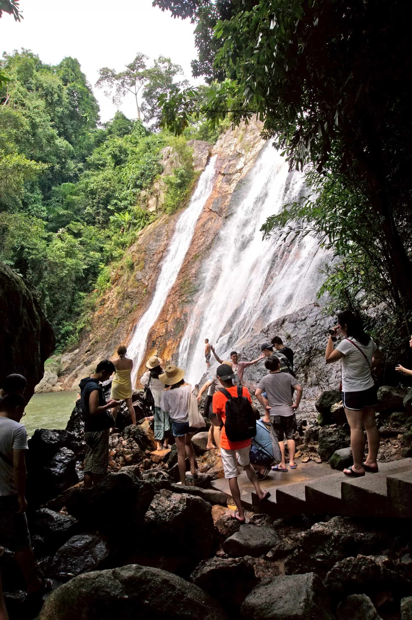 Elephant Cooking Adventure