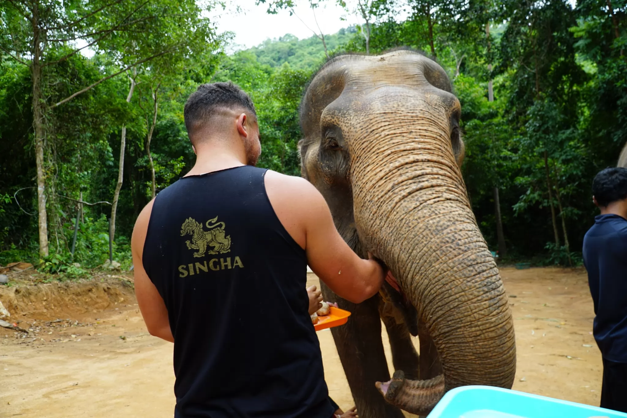 Elephant Cooking Adventure