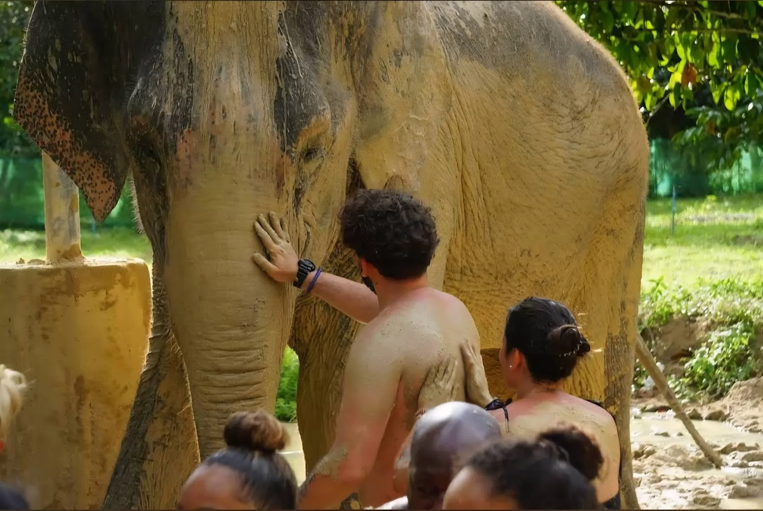 Samui Elephant Mud Spa