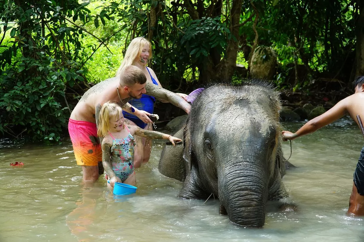 Feed and Shower Lovely Elaphant