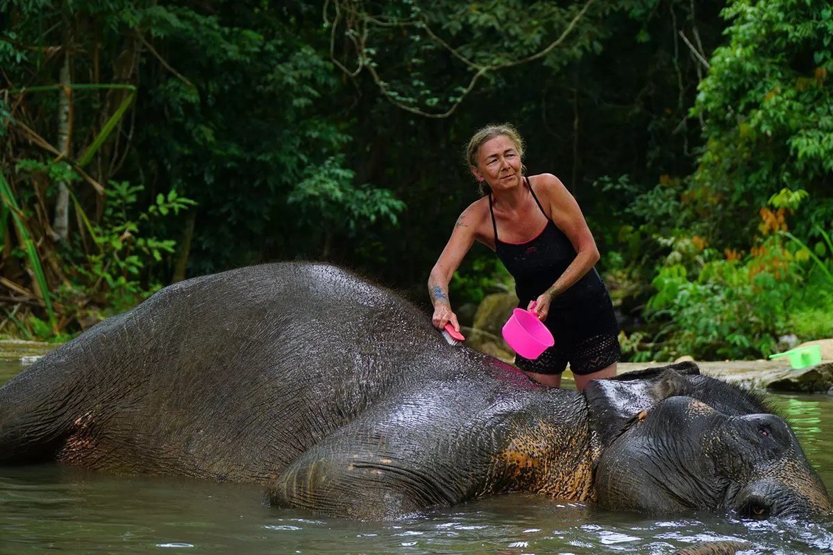 Feed and Shower Lovely Elaphant