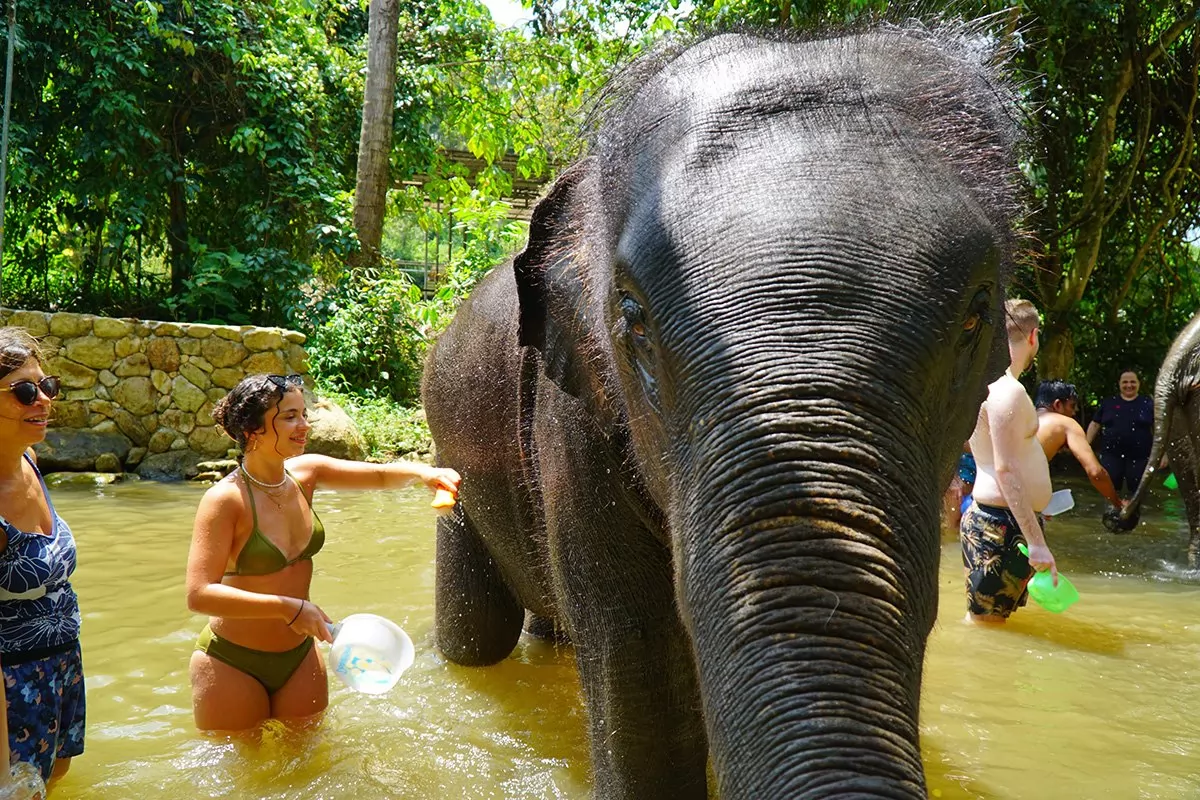 Feed and Shower Lovely Elaphant