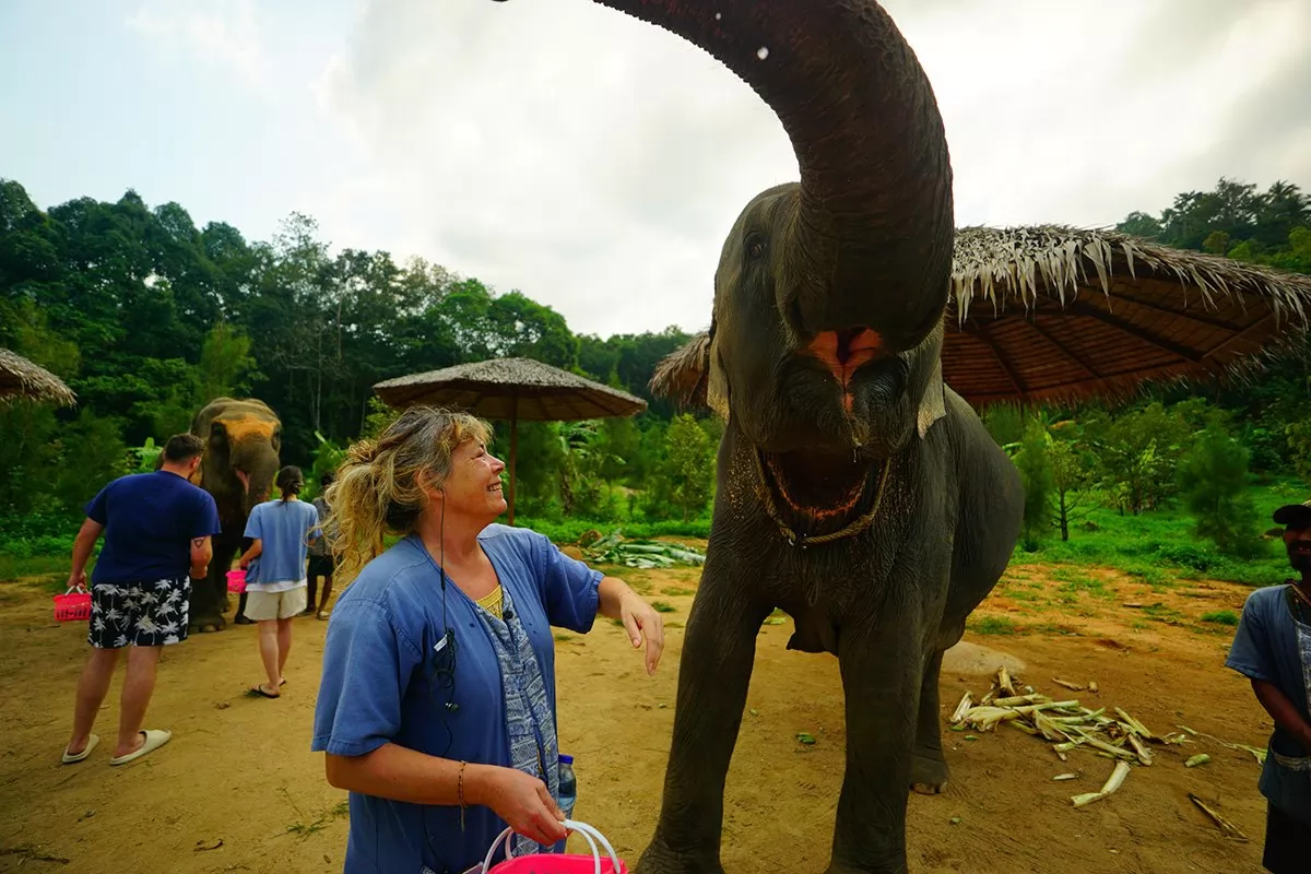 Feed and Shower Lovely Elaphant