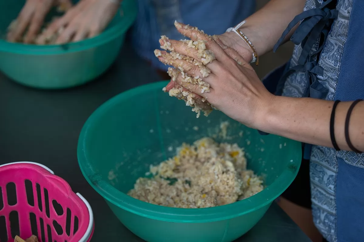 Feed and Shower Lovely Elaphant