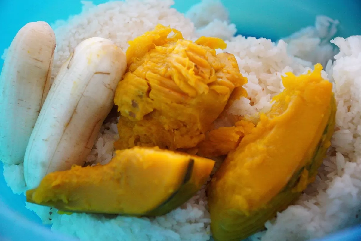 Feed and Shower Lovely Elaphant