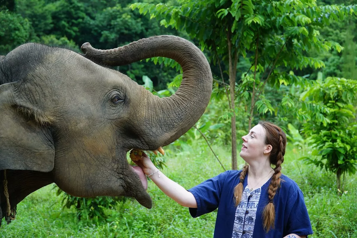 Feed and Shower Lovely Elaphant