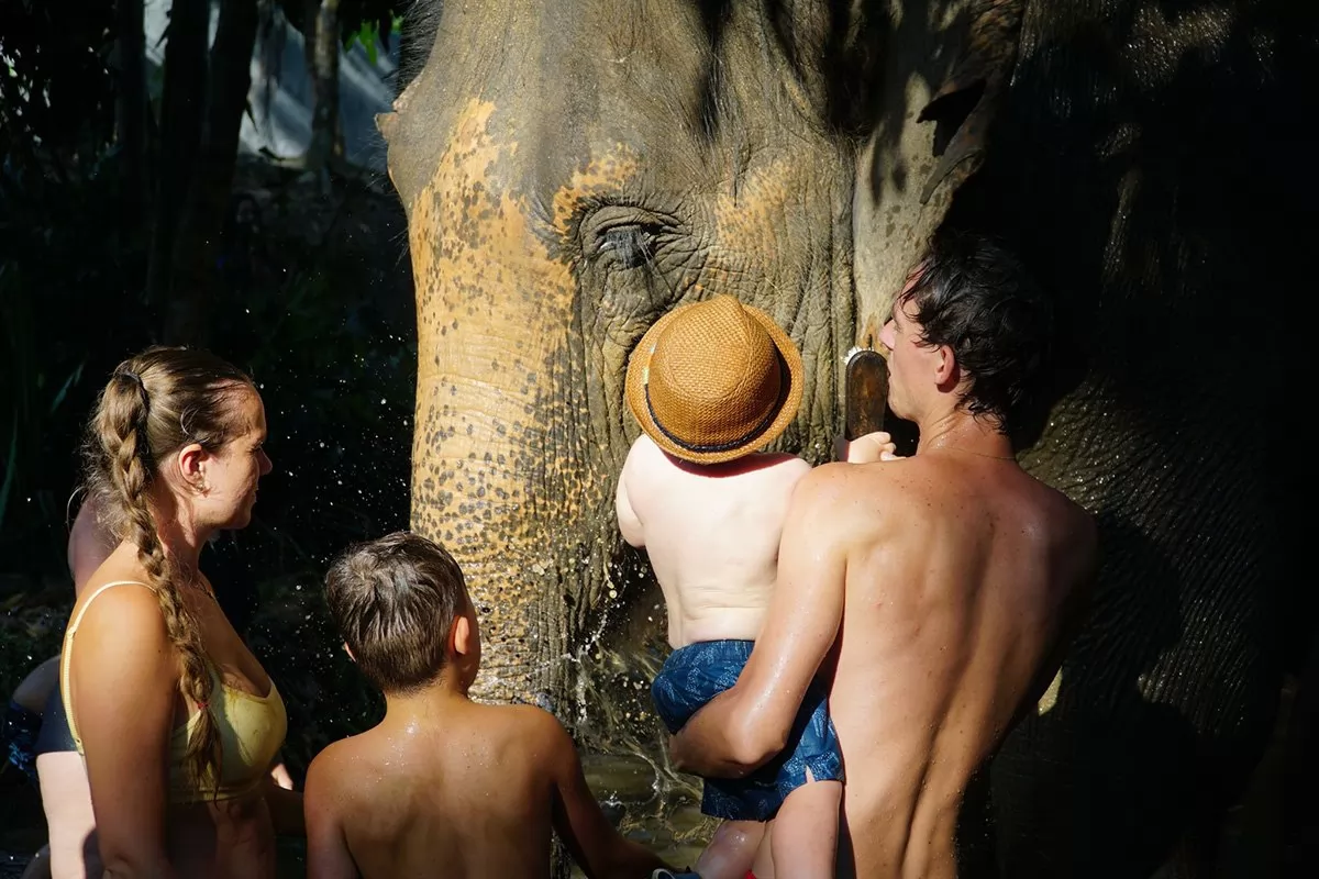 Feed and Shower Lovely Elaphant