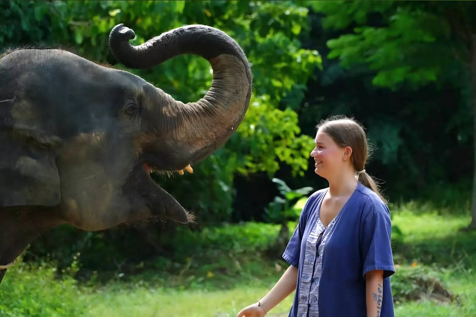 Samui Elephant Mud Spa
